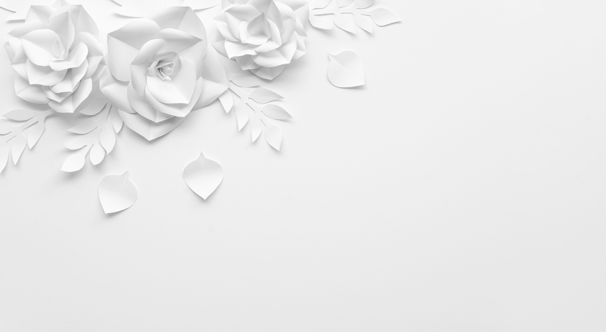 white paper flowers on a white background